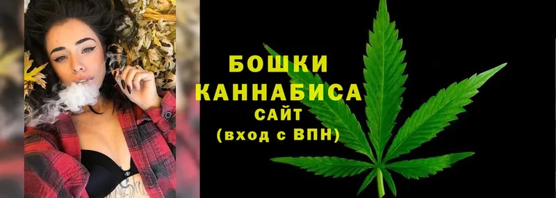 Бошки Шишки SATIVA & INDICA  hydra   Дудинка  где купить  